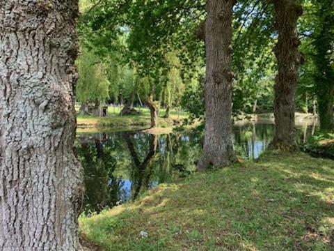 La Demeure Romantique Bazouges-sous-Hede Esterno foto