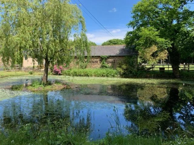 La Demeure Romantique Bazouges-sous-Hede Esterno foto