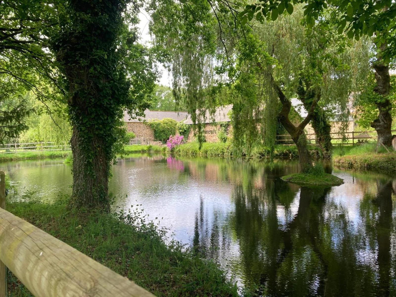 La Demeure Romantique Bazouges-sous-Hede Esterno foto