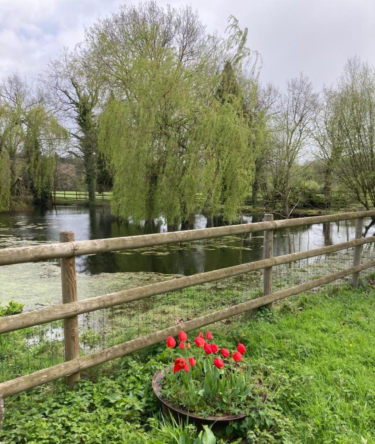 La Demeure Romantique Bazouges-sous-Hede Esterno foto