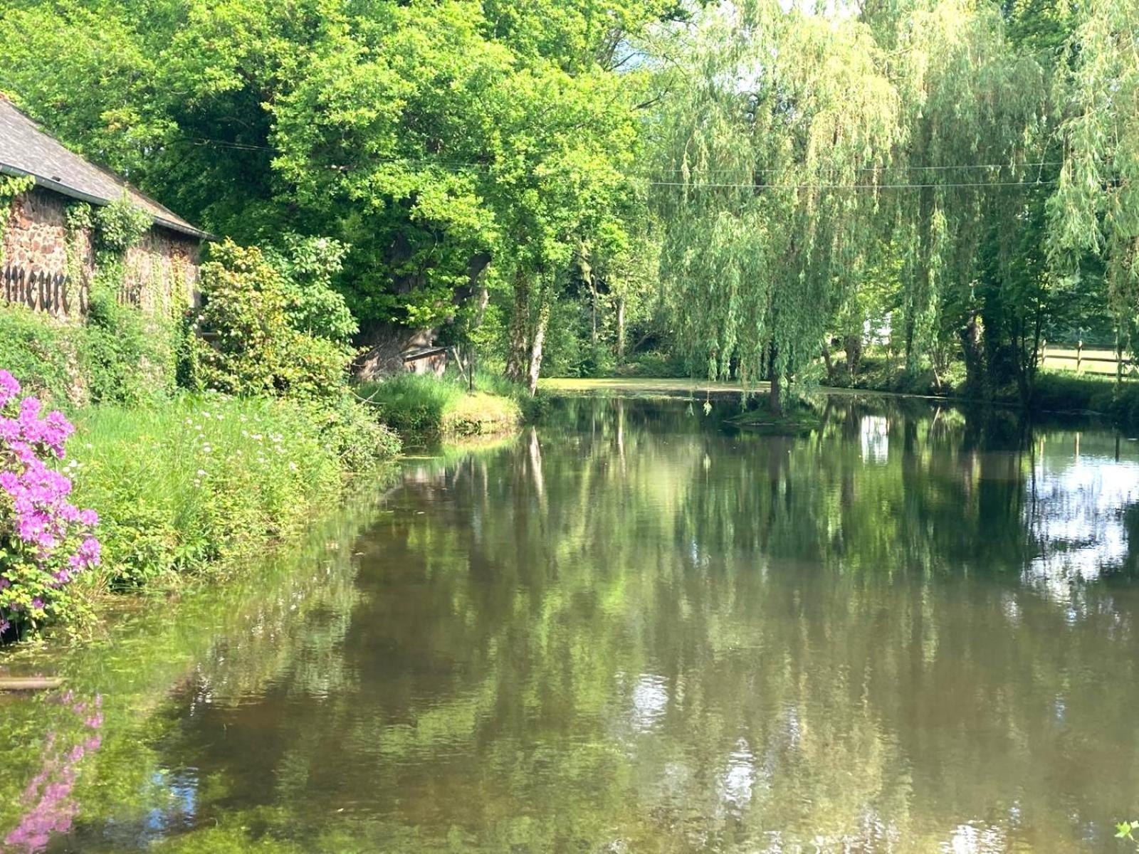 La Demeure Romantique Bazouges-sous-Hede Esterno foto